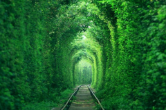  爱情隧道南京最清新的铁路，情侣私会的天堂